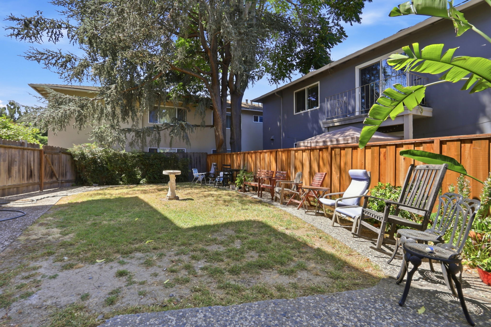 Backyard